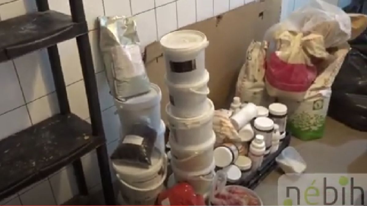 Undorító állapotok – nekiment a NÉBIH egy albán pékségnek (VIDEÓ)