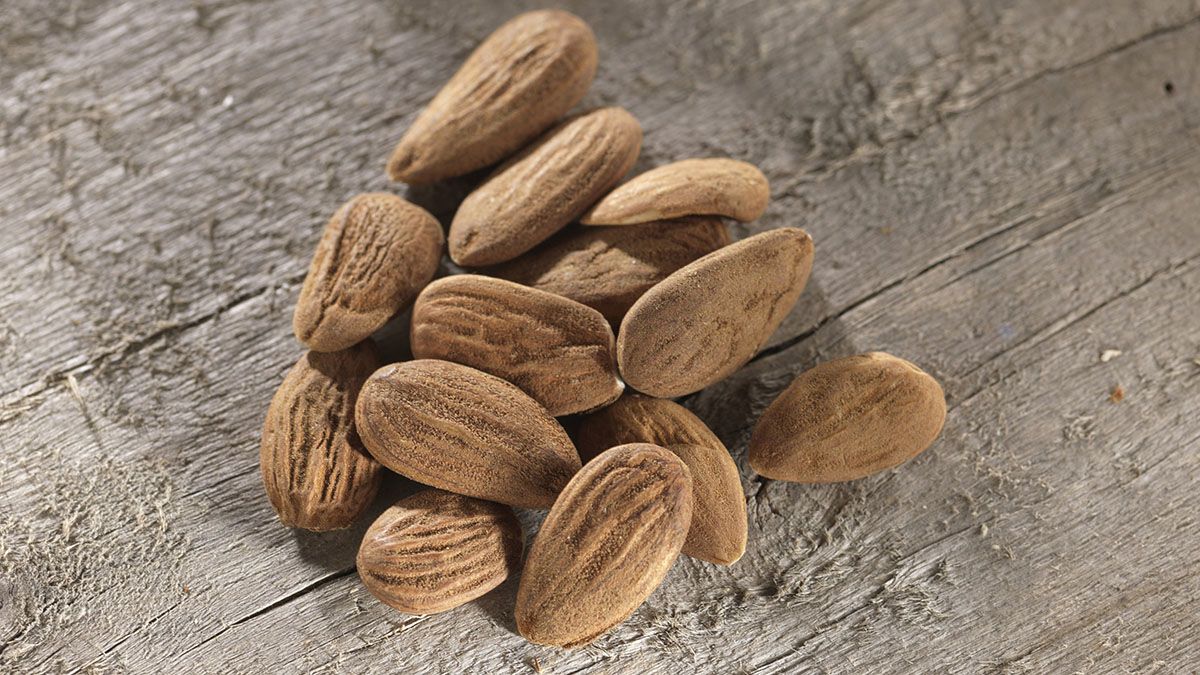 Figyelmeztet a NÉBIH: ha ilyen lenmagot, vagy mandulát vett, kártevő lehet benne!