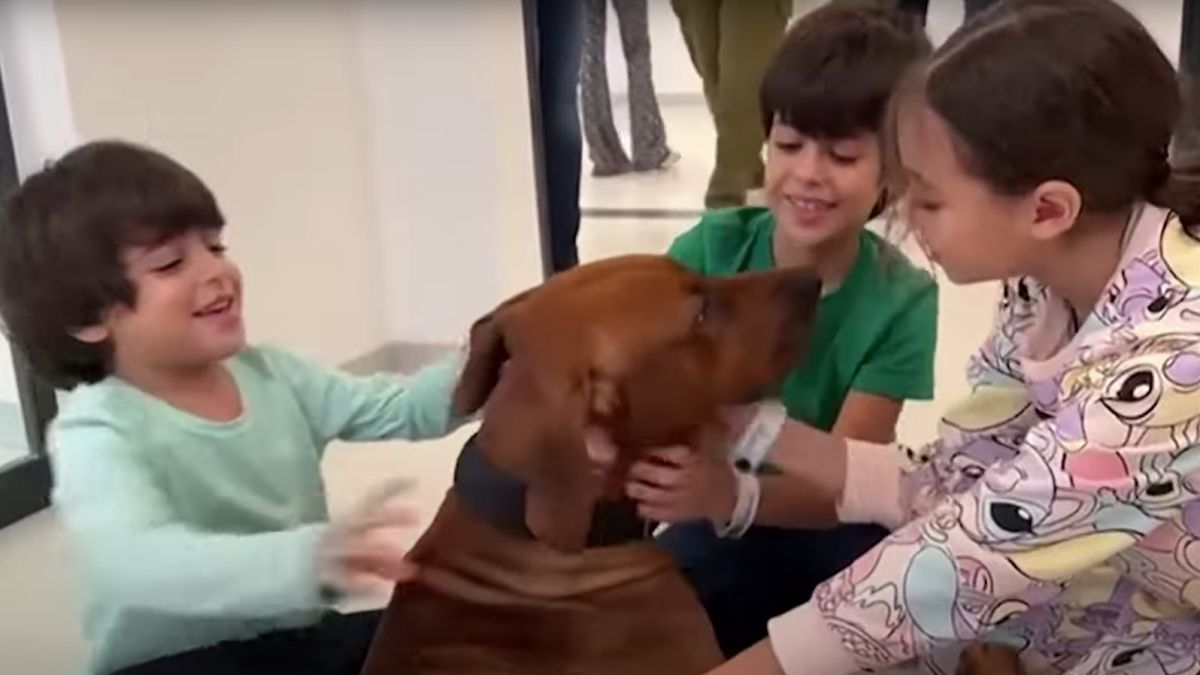 Így örültek egymásnak a Hamász-fogságból kiszabadult gyerekek és a kutyájuk