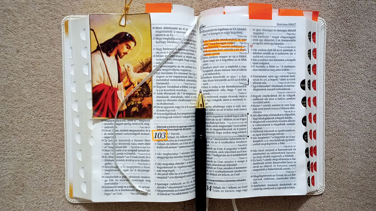 Amikor az Igét olvasod, az Ige is olvas téged