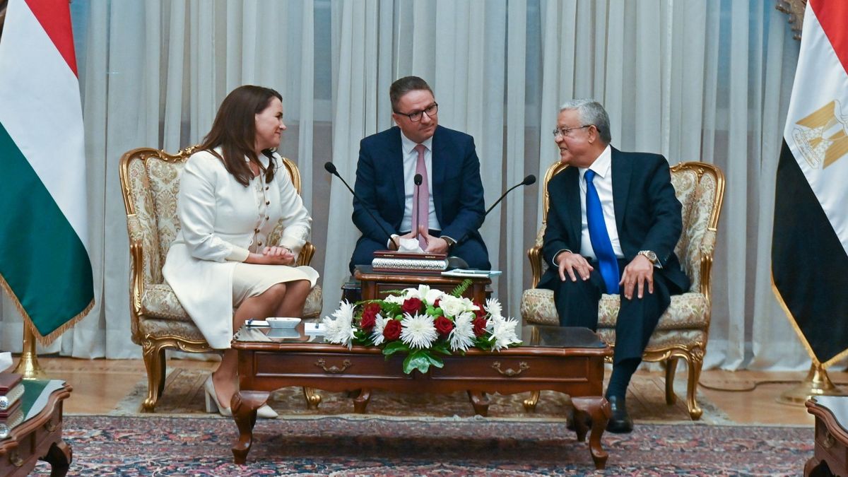 Erősebb lehet a gazdasági együttműködés Egyiptom és Magyarország között