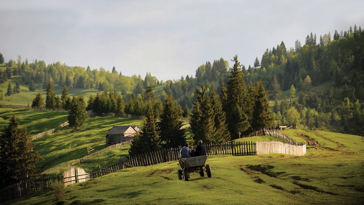 Lecke megmaradásból a gyimesekben