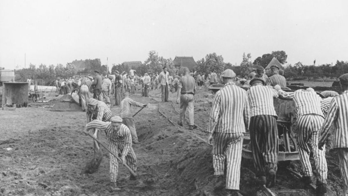 Veszprémy László Bernát: Meddig lehet még a holokauszt történetét oktatni Nyugaton? – Mandiner