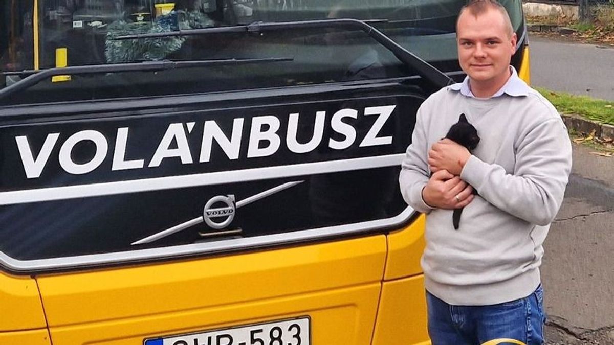 Gyula sofőr kiscicát mentett a busz padlója alól, aztán örökbe fogadta