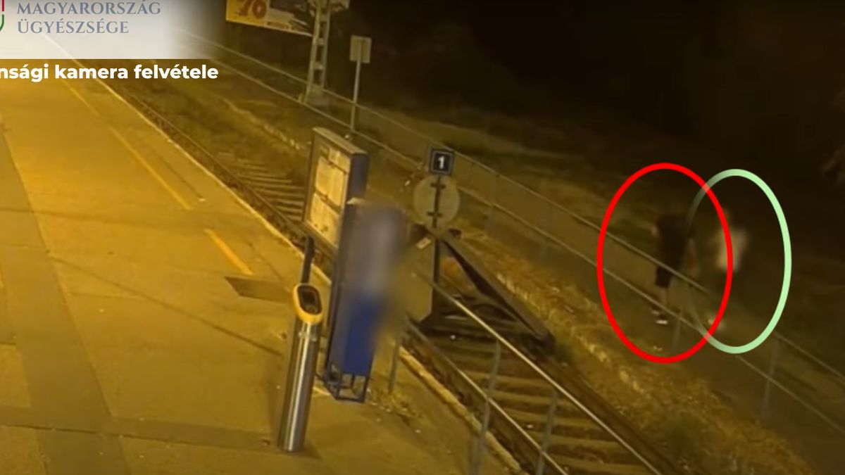 Megragadta a vadidegen nő torkát, egy bokorhoz szorította, majd erőszakoskodott vele – elkapták (Videó)