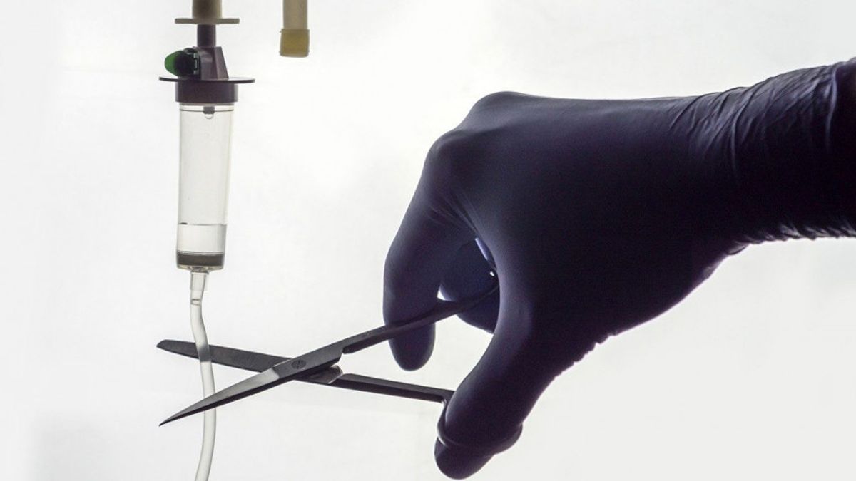 Ha már az egészségtudatos, rogyásig cangázó hollandoknál is egyre több az eutanázia, akkor sejthetjük, hogy kábé mire lehetne számítani Magyarországon