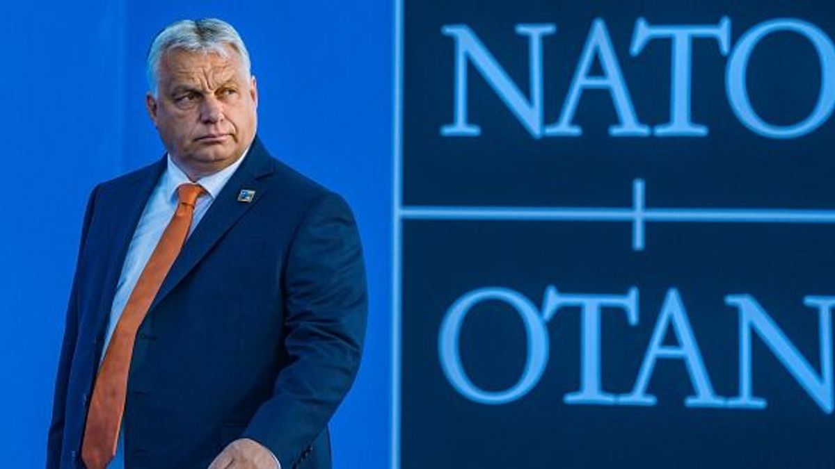 Toporzékol a Politico, Orbán már a kultúrharcban is túl jól áll