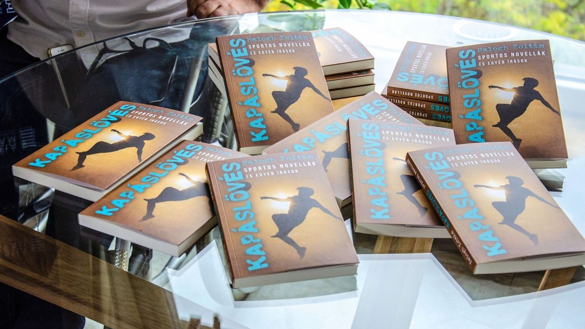 Öngyilkosság helyett a boldogságot és a novellaírást választotta a kerekesszékbe kényszerült cselgáncsozó
