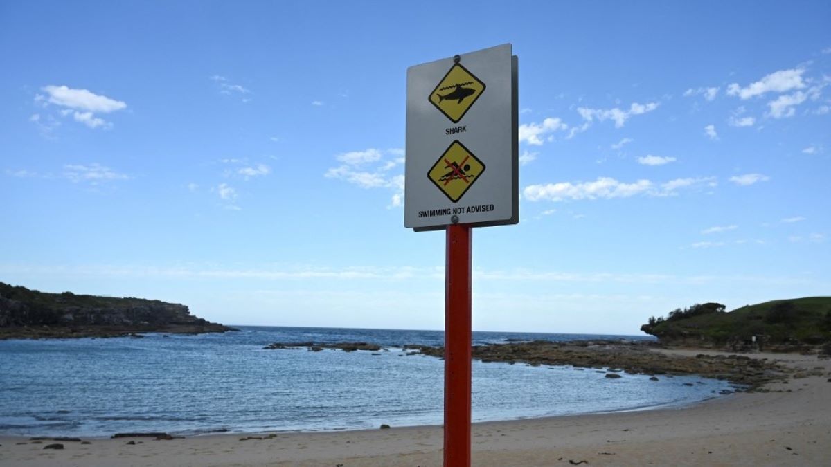 Cápatámadás áldozata lett egy kamasz fiú