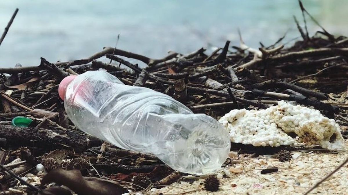 Kiderült, hogy mikortól vezethetik be Magyarországon a kötelező üvegvisszaváltási rendszert