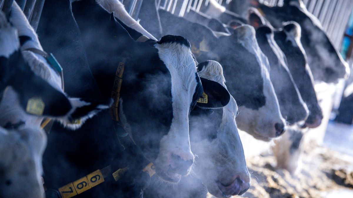 Megbukott a Green Deal, Brüsszel máris összerúgta a port a zöldekkel