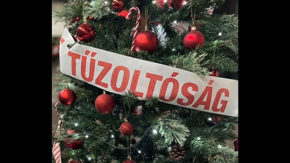 „Ne hallgass a Grincsre!” – öt tipp karácsonyra a katasztrófavédelemtől, hogy ne legyen baj