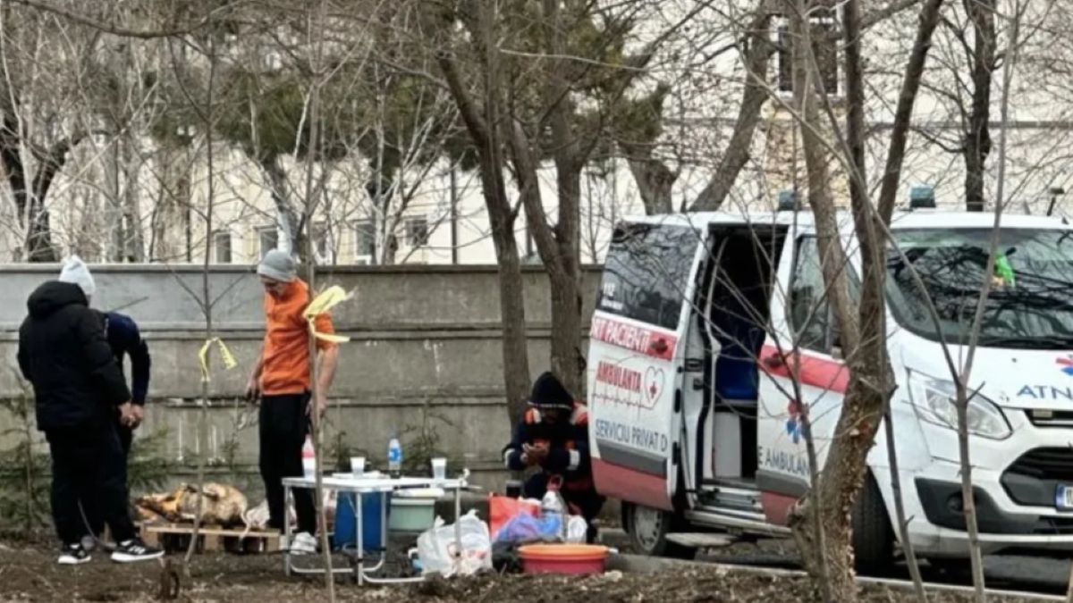 Romániában fényes nappal disznót vágtak egy parkban – de már a helyszínre is mentőautóval vitték az állatokat