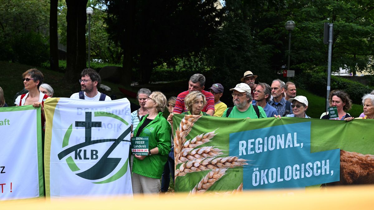 München, Bajorország - természetvédők tüntetnek az NGT és a GMO eljárás ellen az Európai Szabadalmi Hivatal épületénél 2023. július 10-én.