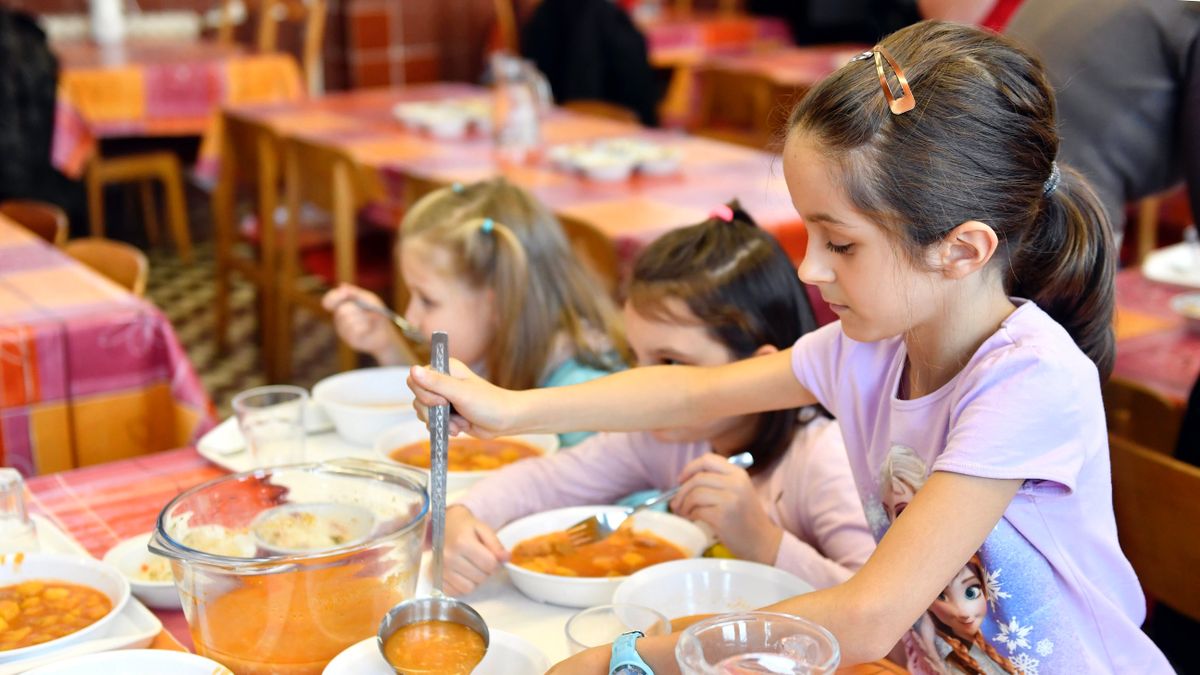 Mérgező gyomnövény termését találták meg a kőbányai iskolákban és óvodákban felszolgált zabfőzelékben