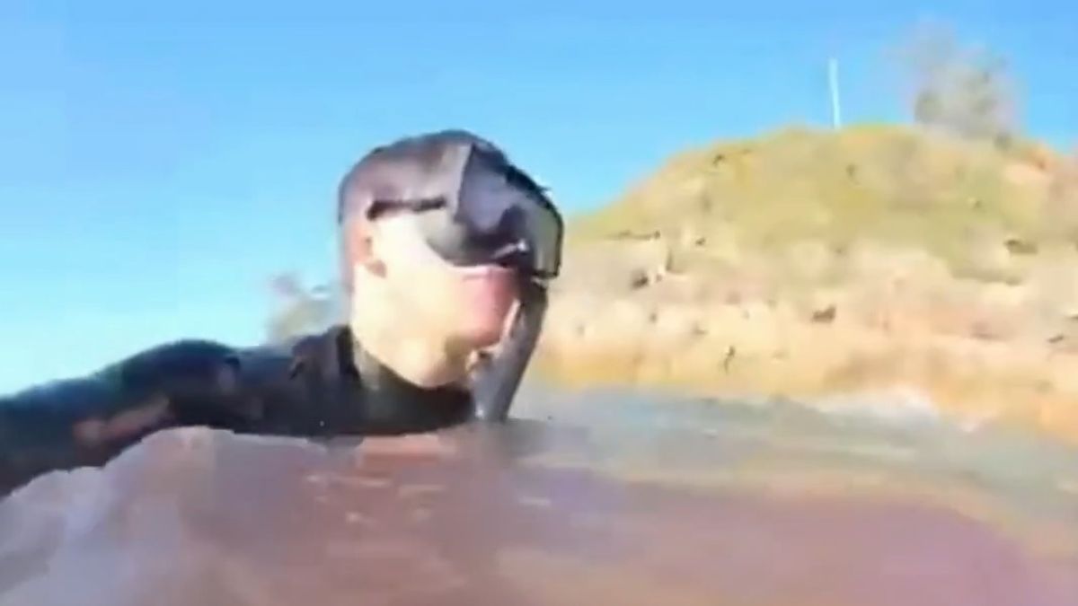 Sokkoló videó: egy olasz diák lábába került a majdnem végzetes cápatámadás