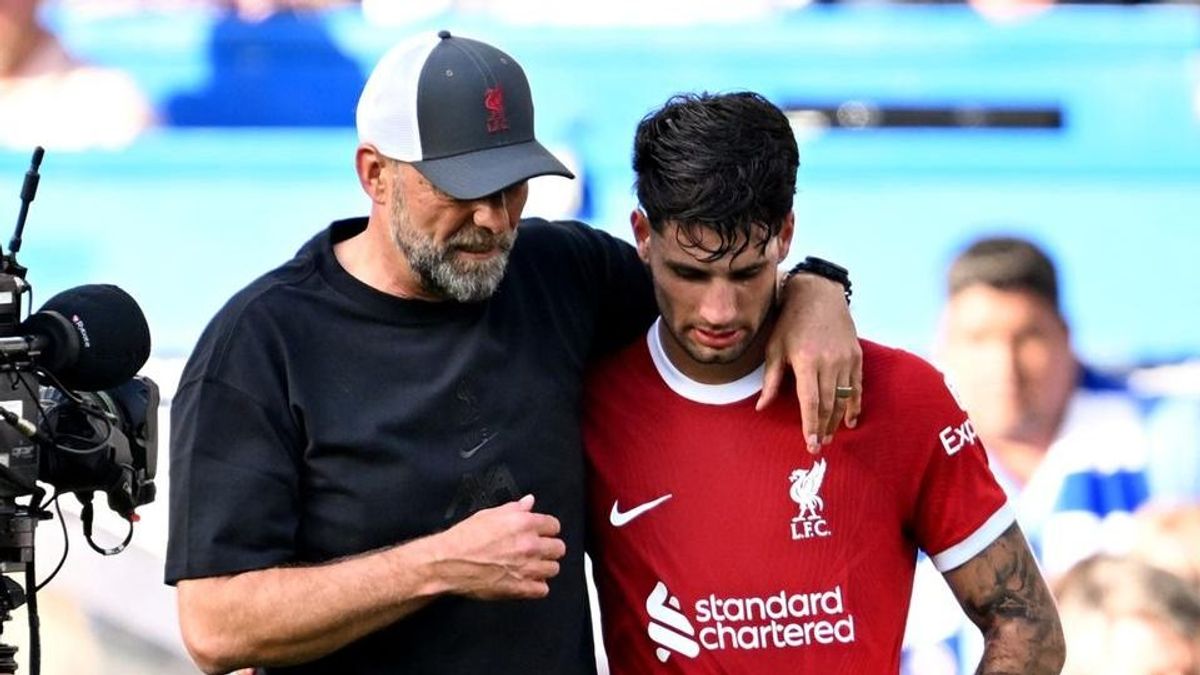 Sikeres év volt! Íme, egy kis liverpooli összefoglaló!