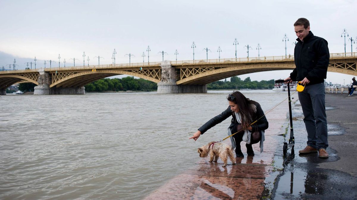 Rohamtempóban emelkedett a Duna vízszintje (FOTÓK)