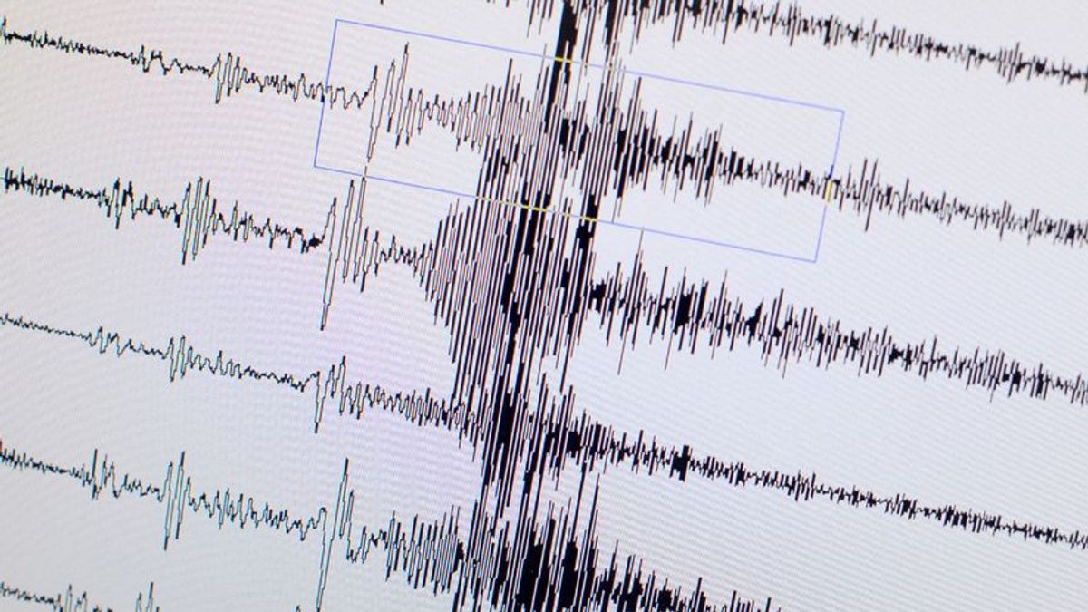 Megmozdultak a karácsonyfadíszek, földrengés volt Székesfehérváron
