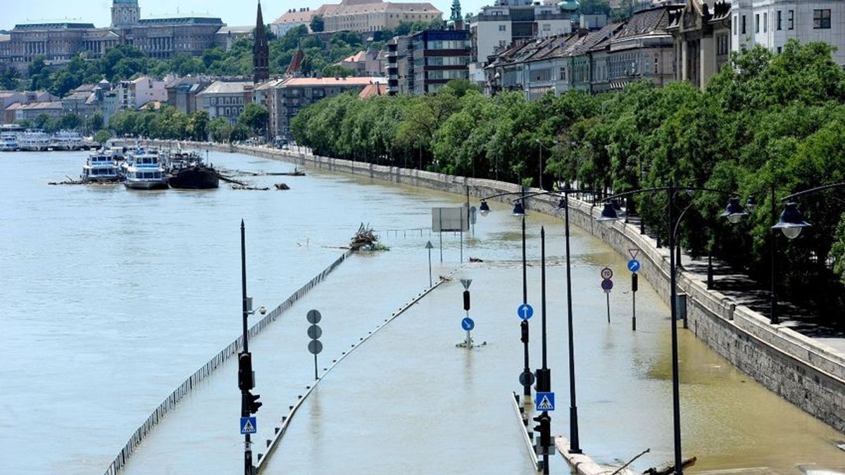 Árad a Duna, viszik a rakpartról a parkoló autókat