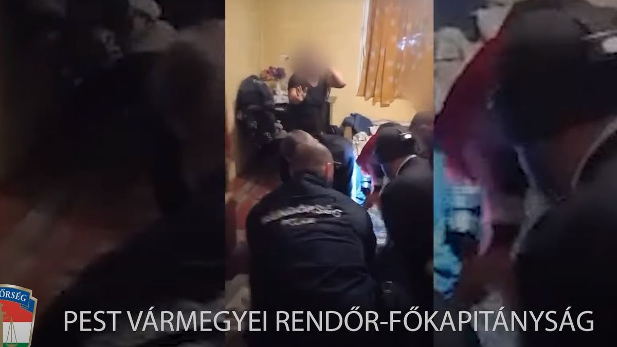 Megdöbbentő videó: a monori vasútállomás mosdójában erőszakolták meg öntudatlan áldozatukat