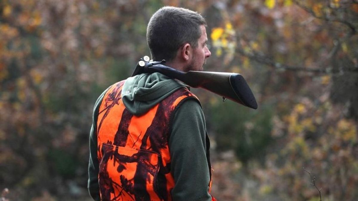 Arabul és oroszul is figyelmeztetnek a Börzsönyben a vadászszezonra