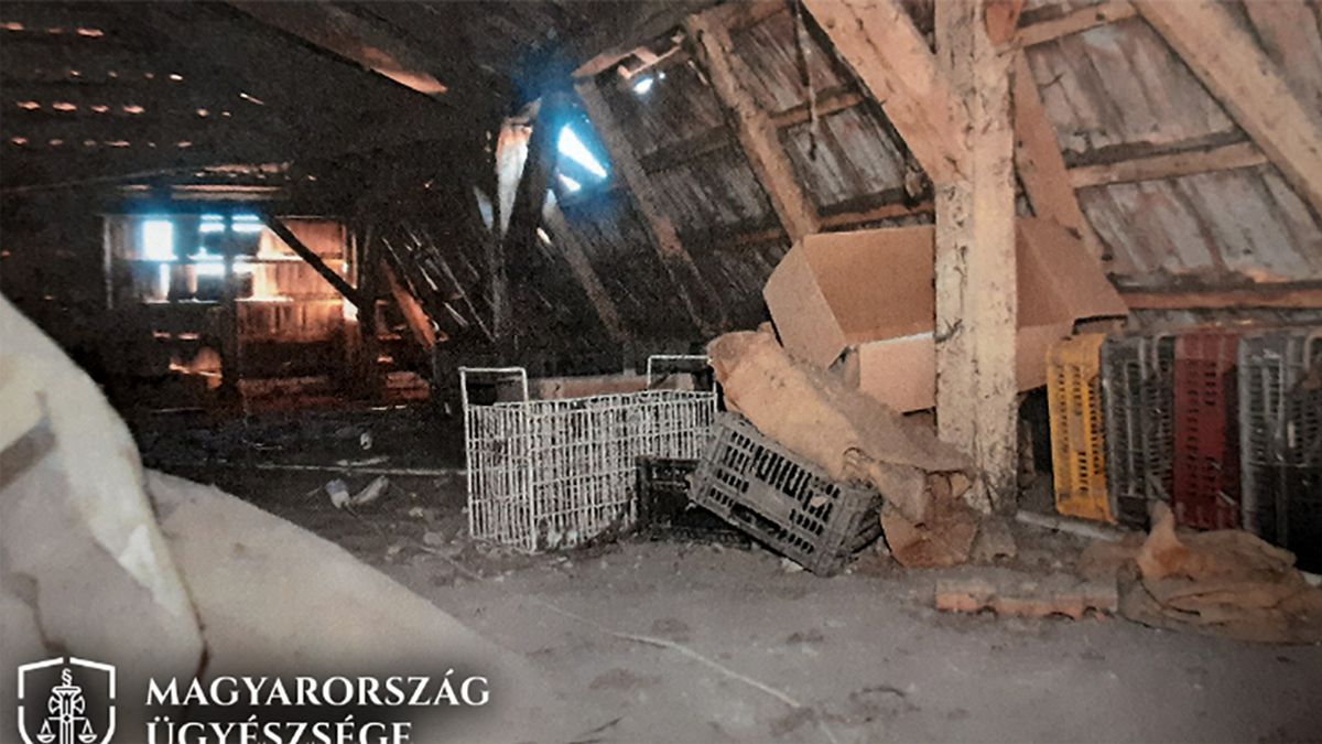 Egy rendőr agyrázkódást, társa vérző fejsérülést szenvedett, amikor meg akarták bilincselni a férfit