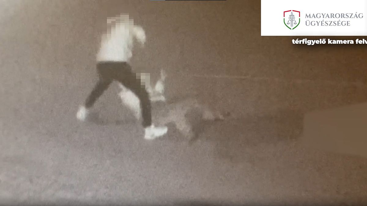Italoztak, összevesztek, aztán földre vitte cimboráját, és összeverte (videó)