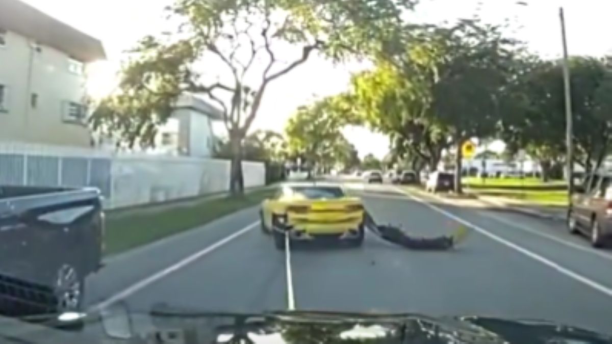 Nem semmi! Hálóvetőt is bevethetnek a zsaruk az autós üldözéseknél (VIDEÓ)