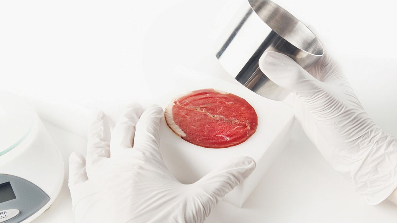 Meat,Cultured,In,Laboratory,Conditions,From,Stem,Cells