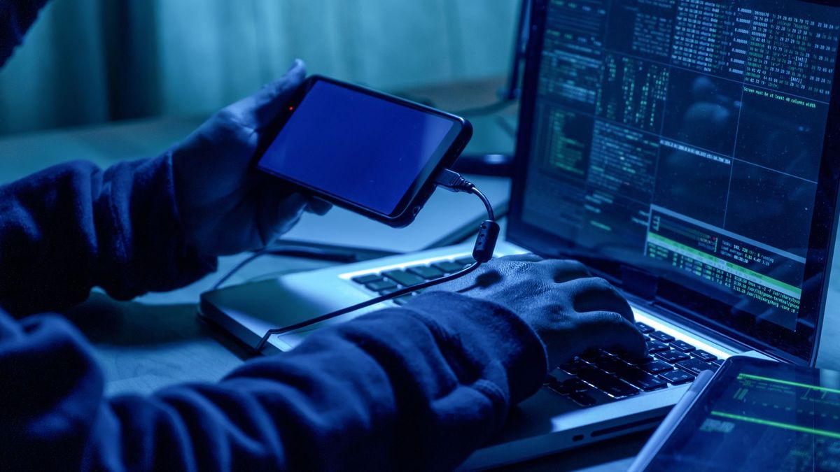 Nagy munkában a Tisztelt ház: hamarosan hoppon maradhatnak az online csalók