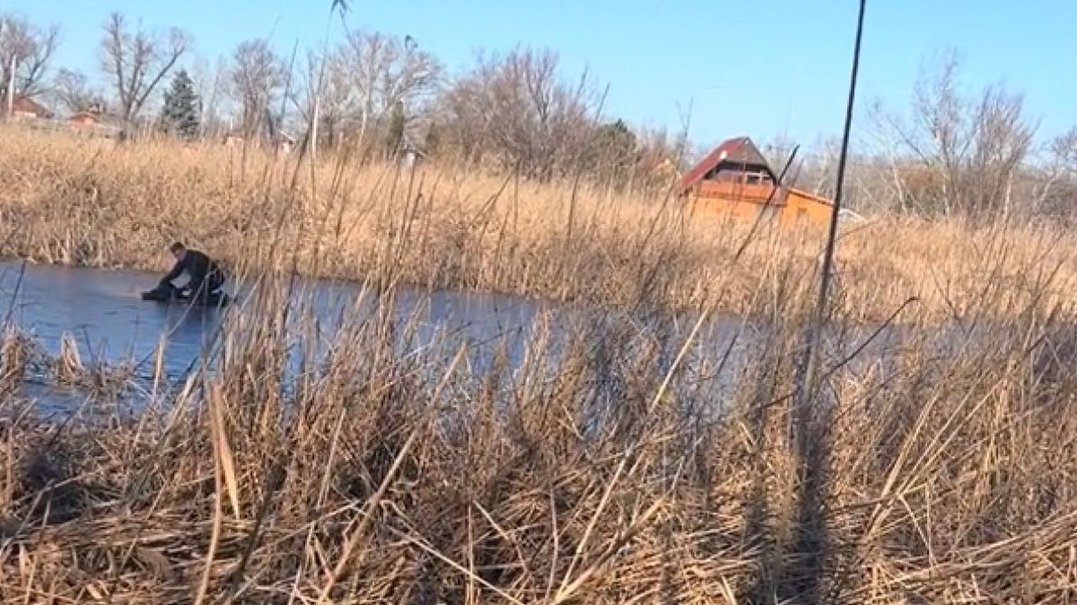 Rottweiler kölykök alatt szakadt be a Duna jege (VIDEÓ)