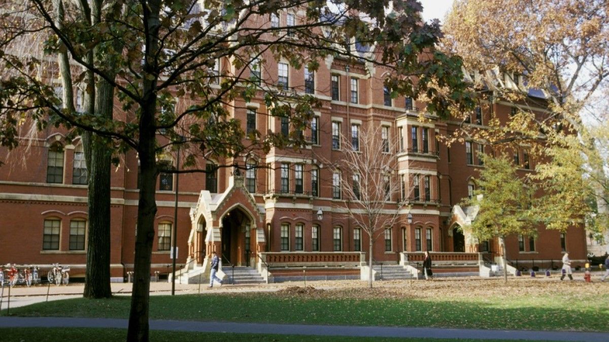Újabb botrány a Harvardon: a sokszínűségért felelős vezető is plagizált