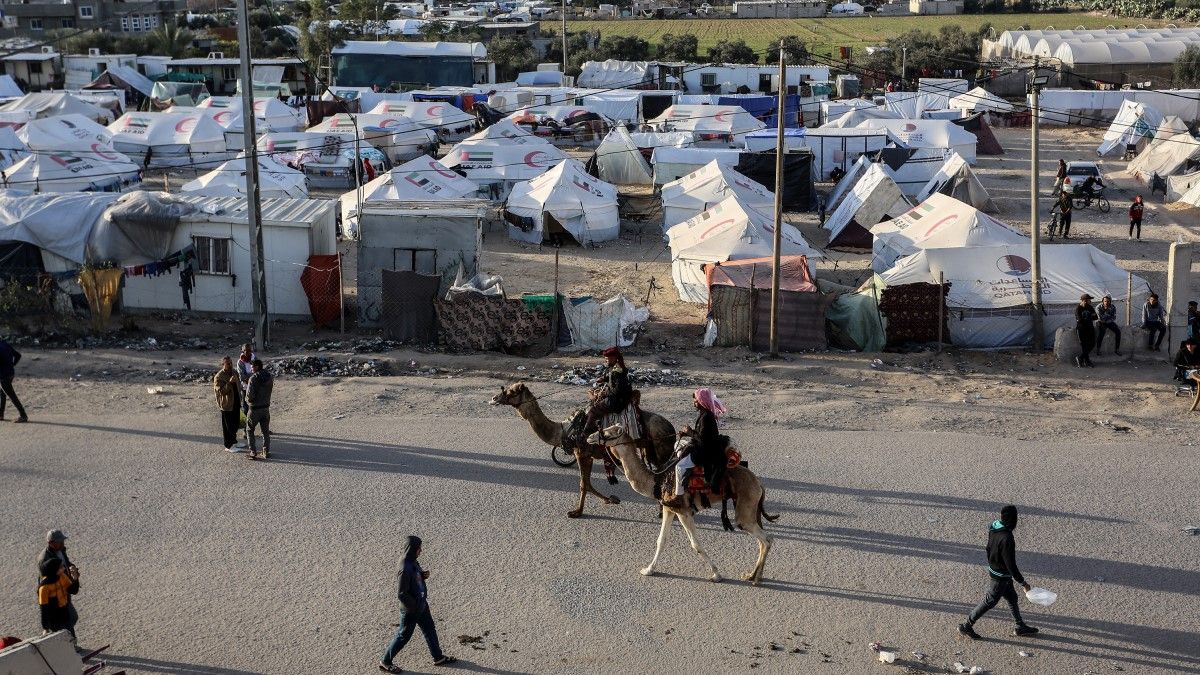 A lőtéri kutyát is jobban érdekli a gázai civilek sorsa, mint a humanitárius pózőröket