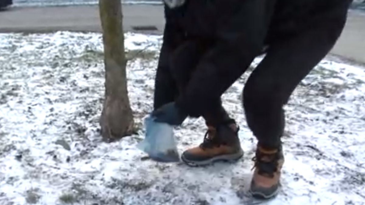 Mi van itt? Szöges virsli után kapszulákkal mérgeznék a kutyákat Budapesten (VIDEÓ)