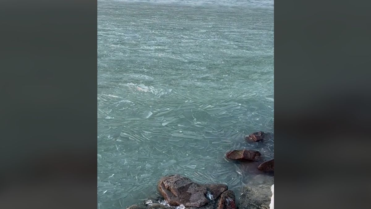 Ijesztő, hogy néz ki a Balaton Fonyódnál (VIDEÓ)