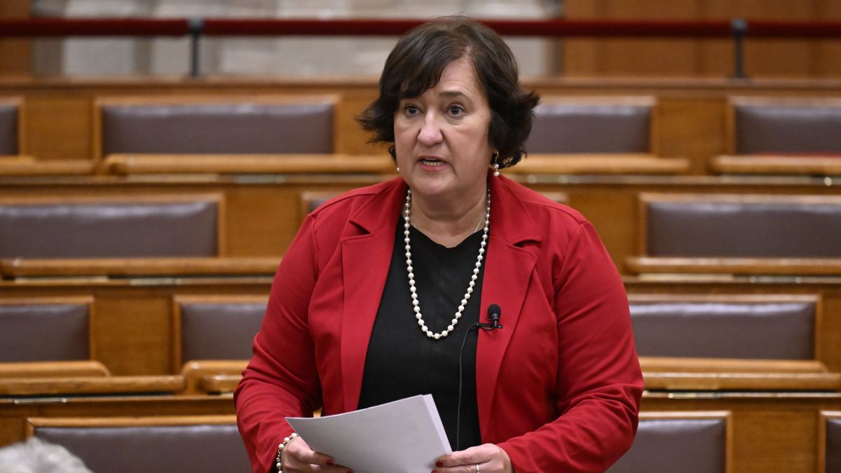 Felfüggesztette Gurmai Zita MSZP-s képviselő mentelmi jogát a parlament