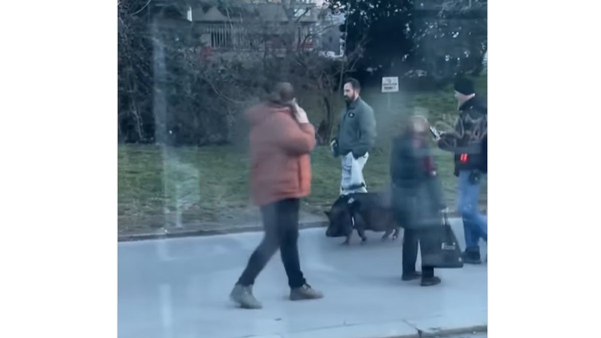 Disznót sétáltattak Zugló vasútállomásnál (VIDEÓ)