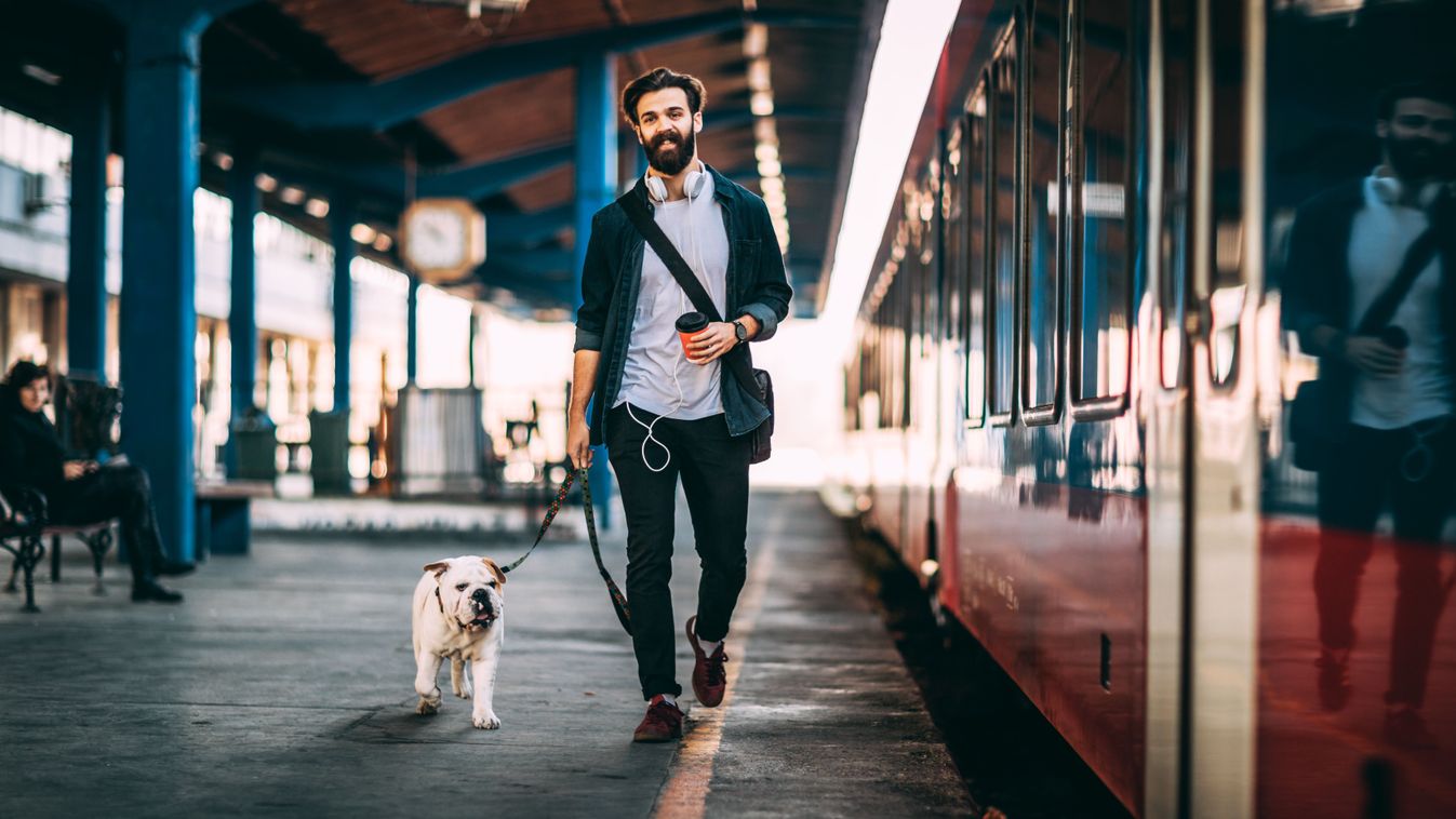 Young,Man,Going,On,Vacation,With,Train.,Handsome,Guy,Walkiing