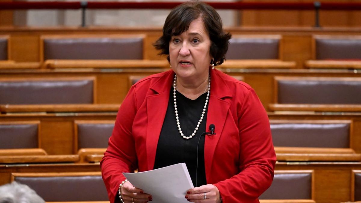 MSZP-s politikusok: Gurmai Zitának továbbra is megvan a brüsszeli lakása, Komjáthi Imre tartozik