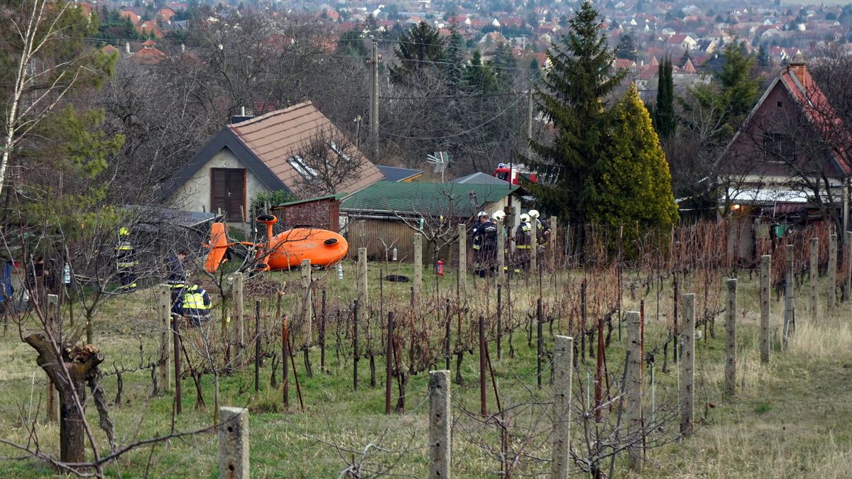 Nem sokon múlt, hogy nem tarolt le egy családot egy lezuhanó kisrepülő Budaörsön