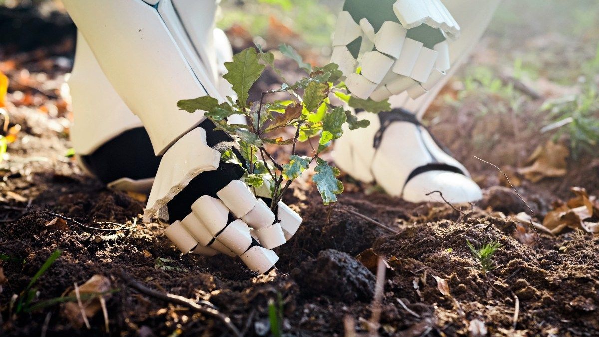 Robotokkal pótolna 11 millió hiányzó munkást Japán