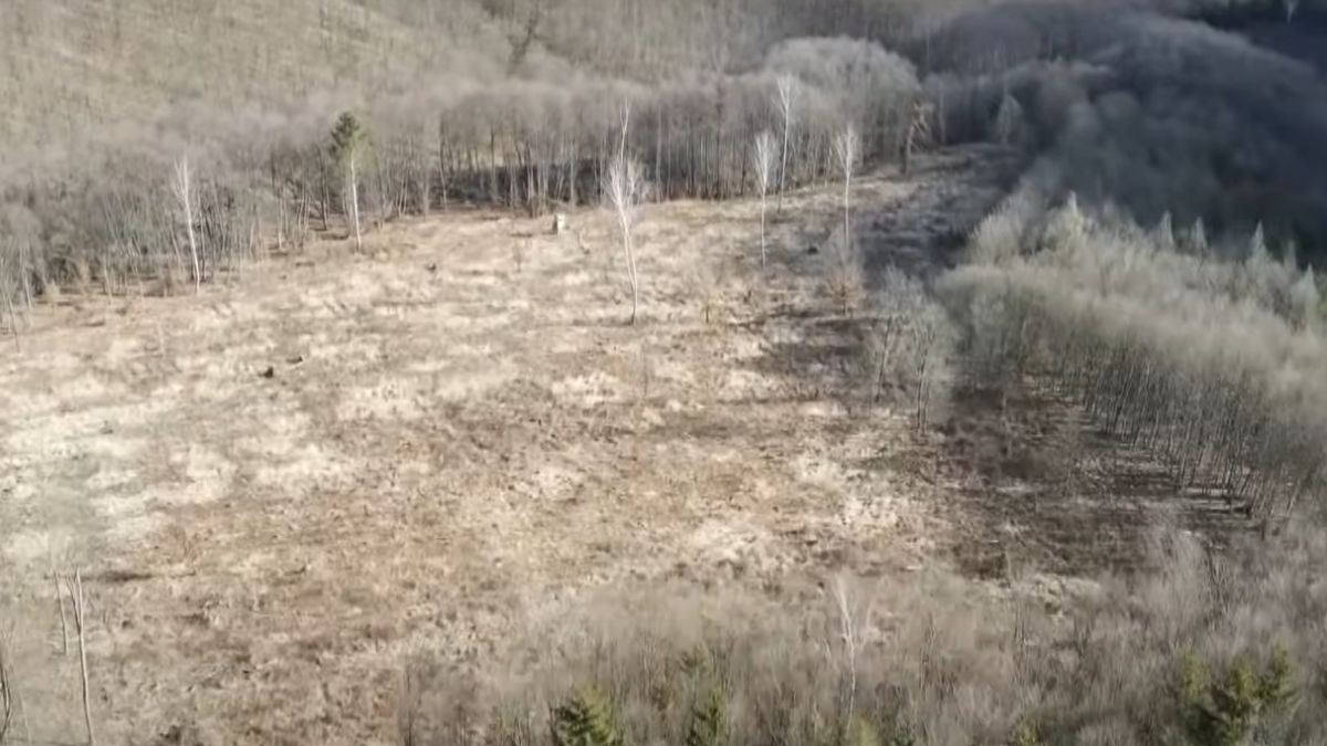 Kihallgatták a vadászt, aki meglőtt egy túrázót a Bükkben (VIDEÓ)