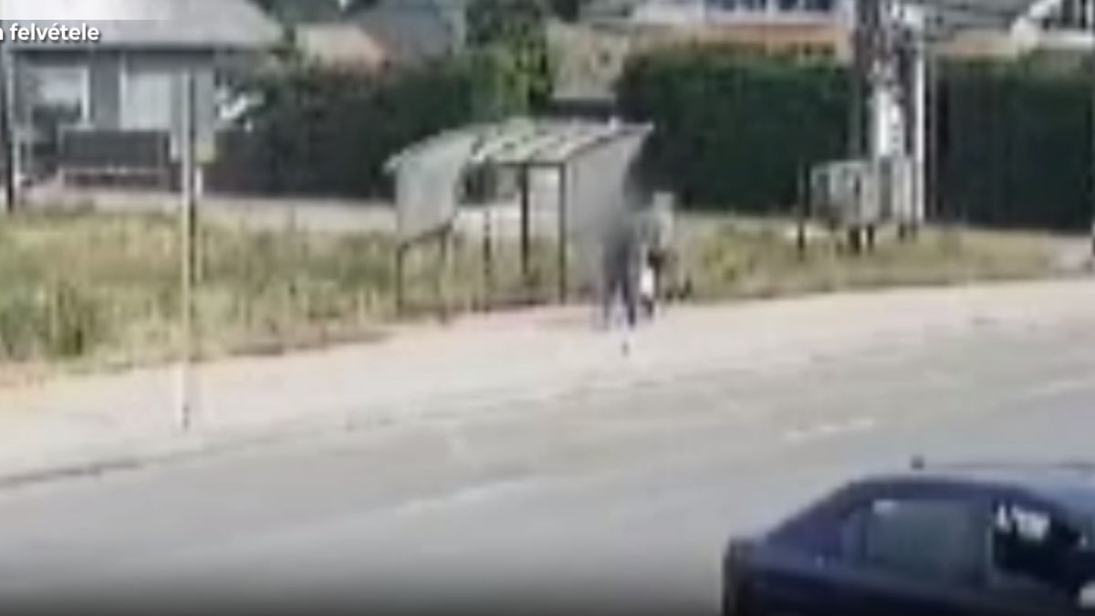 Összevesztek a boltban a paradicsomon, hatalmas verekedés lett a vége (Videó)