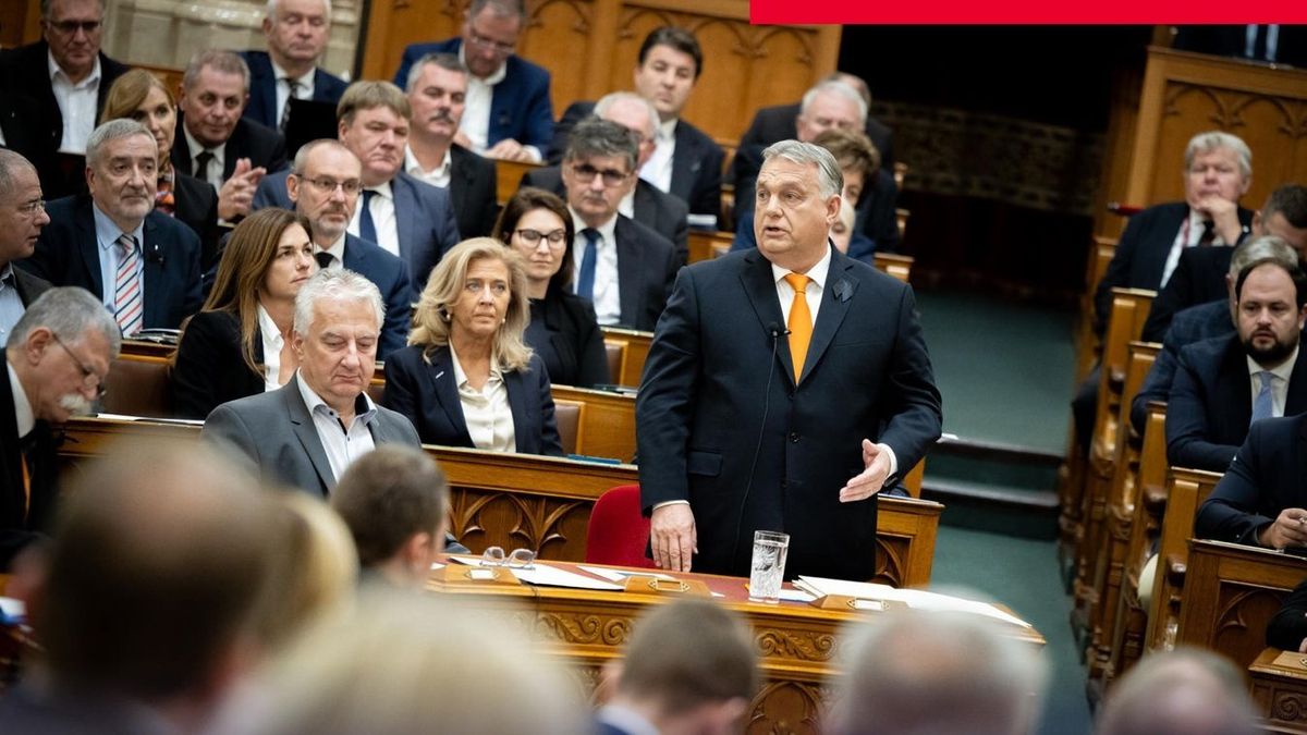 Orbán Kálmán Olgának: 2010-ben 81-en voltak börtönben pedofília miatt, 2024-ben 683-an, miről beszélnek?