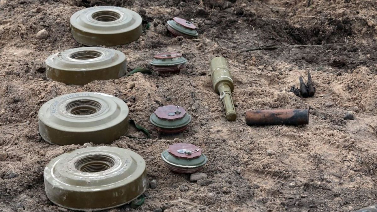 Újabb összefogás jött létre Ukrajnáért