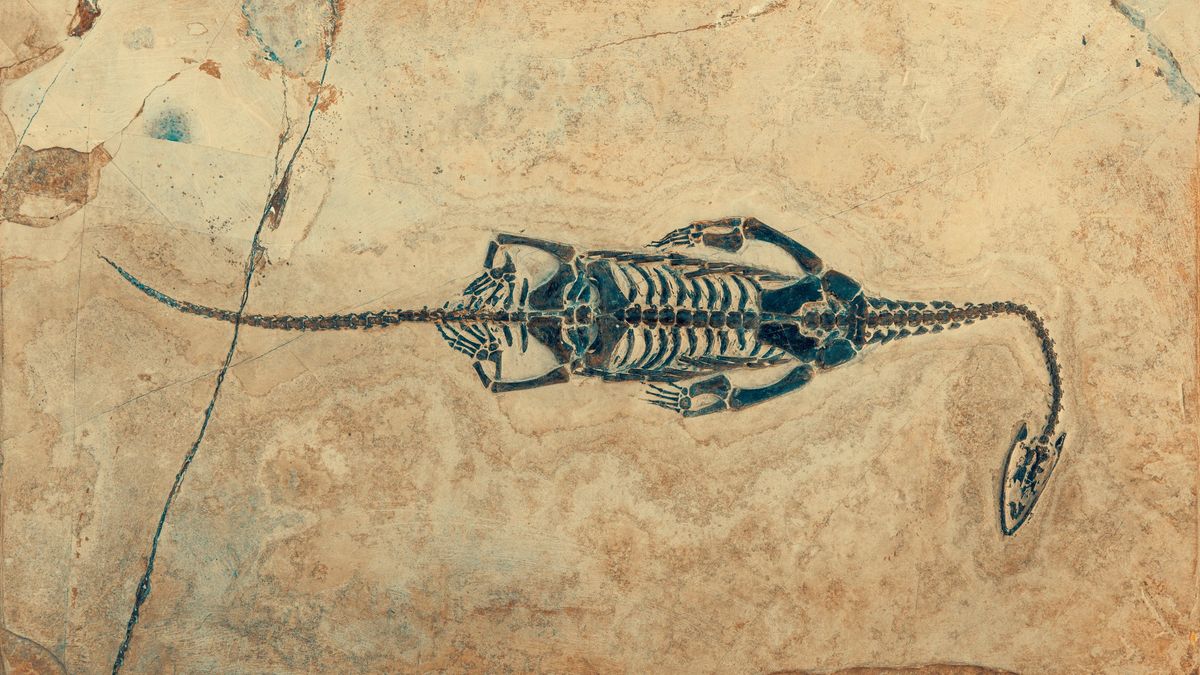 Egy kutatócsoport felülvizsgálná a dinoszauruszok általuk sértőnek vélt neveit