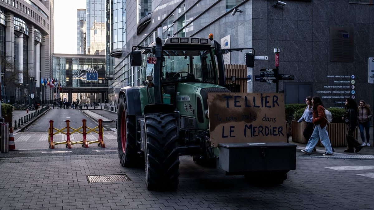 Áll a bál Brüsszelben: bíróság elé citálnák a gazdákat