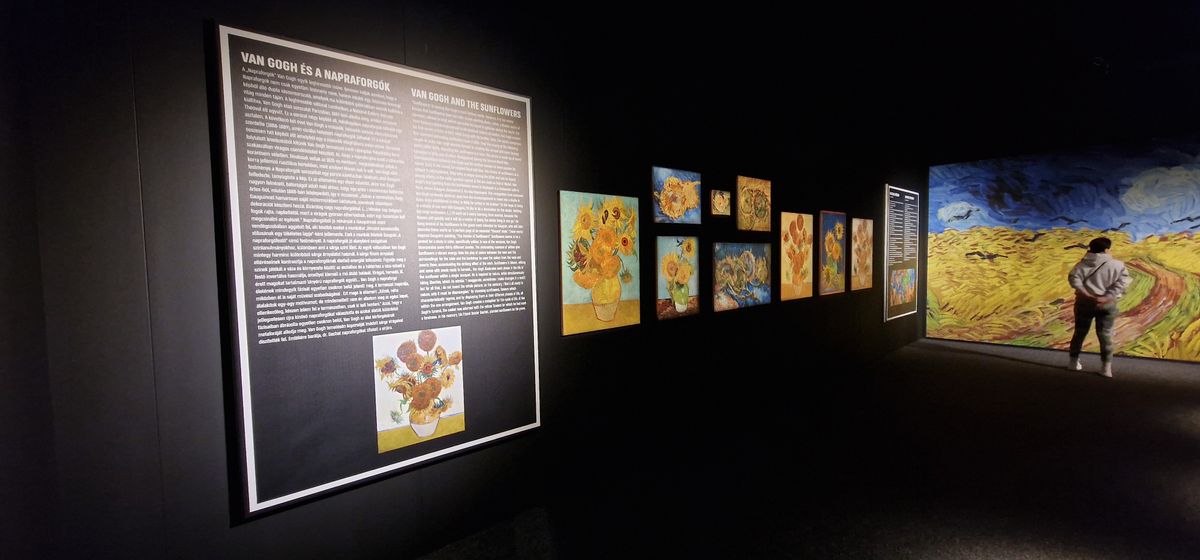 Vincent van Gogh, kiállítás, művészet, immersive experience1