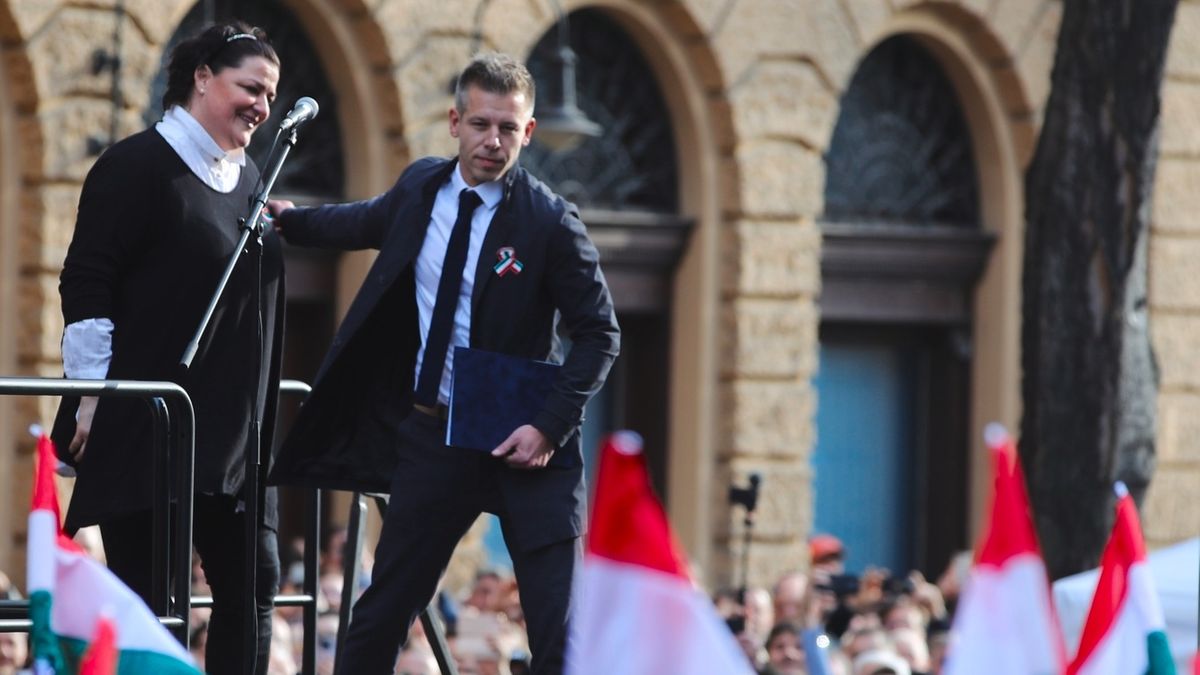 Hont András kérdőre vonta Bayer Zsoltot: Tíz éve rühellitek, utáljátok, kerülitek? Hát, ti tartottátok el!